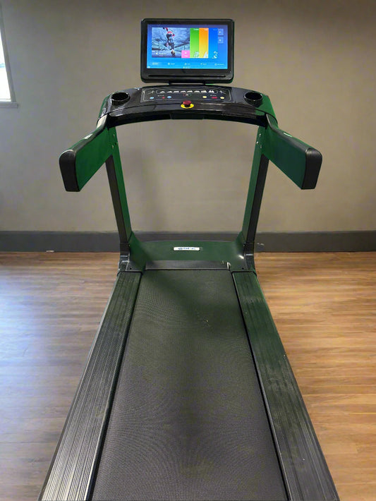 SFE X19 Commercial Treadmill with Touchscreen (New)