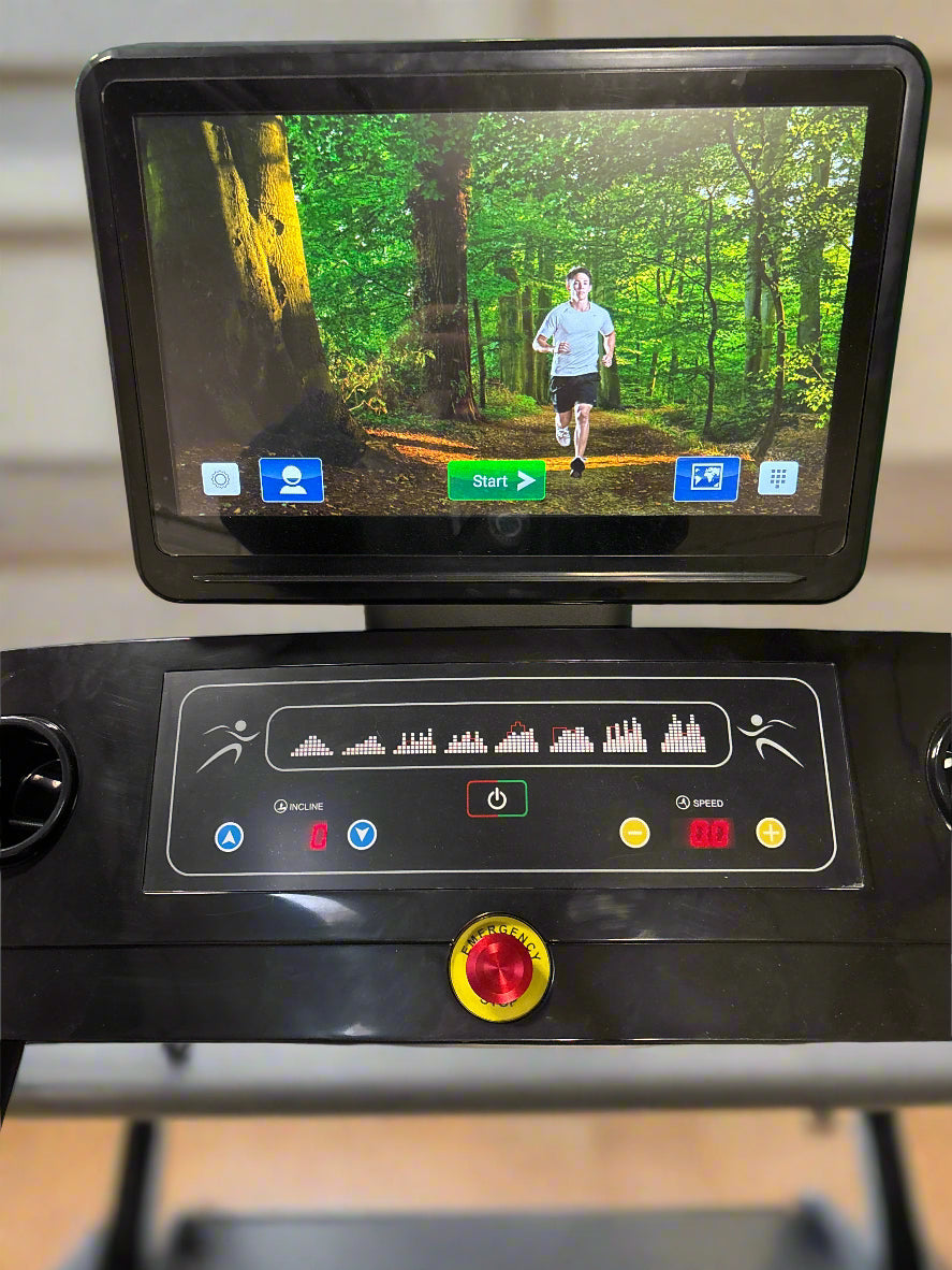 SFE X19 Commercial Treadmill with Touchscreen (New)