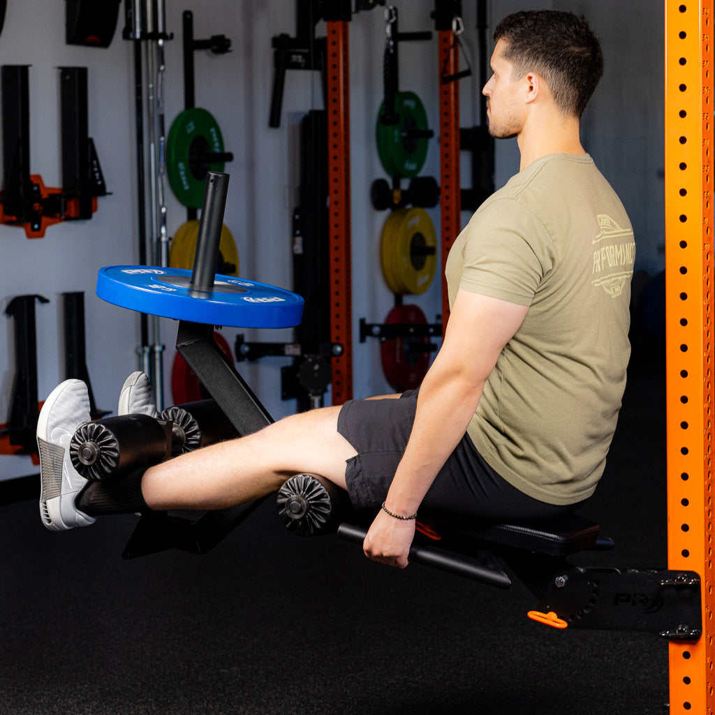 PRx Leg Curl/Extension