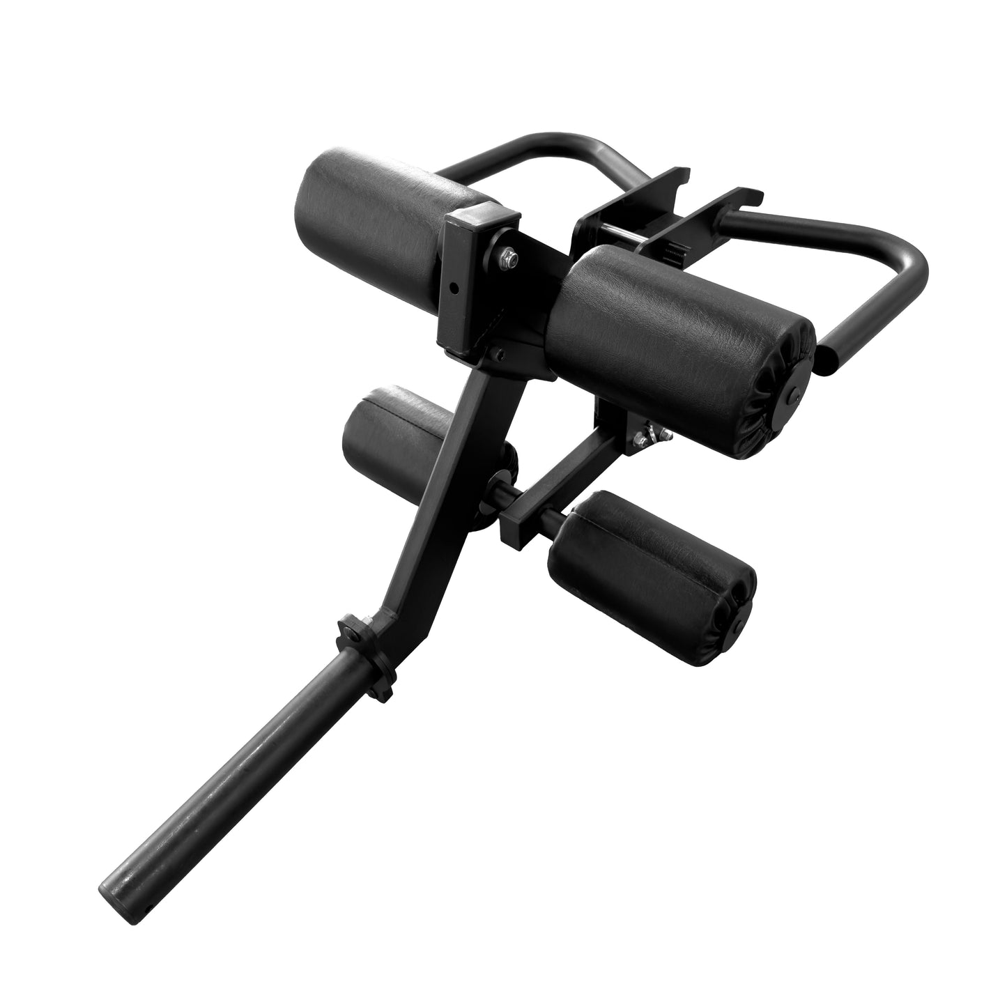 PRx Leg Curl/Extension